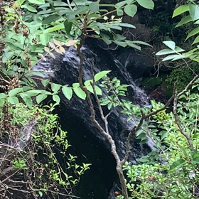 癒されての画像