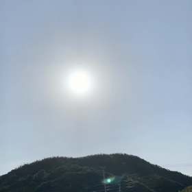 朝の画像