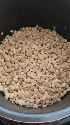 納豆を大豆から増やしてみたよ！/残り物と冷凍ストック大活用〜今週の手抜き弁当の記事動画