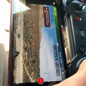 本命砂漠でいろいろとの画像