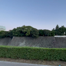 ロードバイクとサーフィンの画像