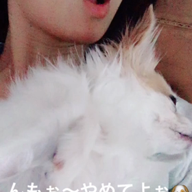 女子組 男子組の画像
