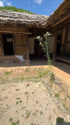 【韓国ドラマのロケ地巡り】 2日目後編の記事動画
