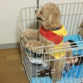 あお君もう少し‼️٩( 'ω' )وの画像