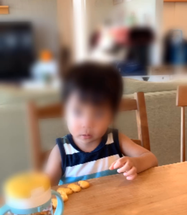 双子2歳3ヶ月　身体測定と発達の記事動画