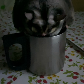 入れませんの画像