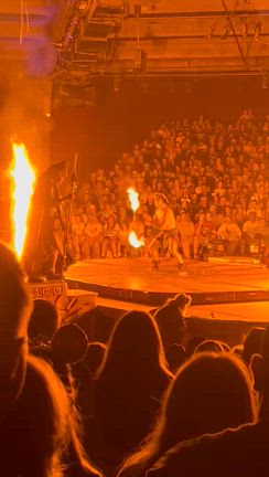 圧巻のショー！Festival of the Lion Kingの記事動画