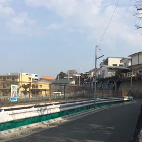 ようやくのスケボーの画像