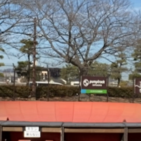 スケパーのハシゴの画像
