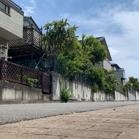 強風の日の画像