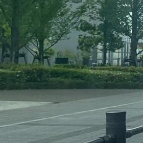 復習のスケボーの画像