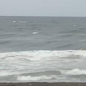 再びのセミドライの画像