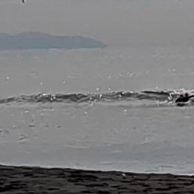 やはり湘南マジックの膝波の画像