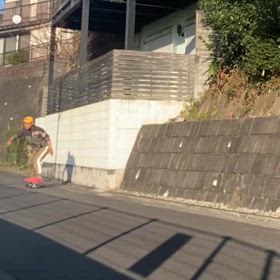 回復の兆しの画像