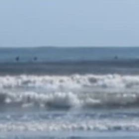 流されまくりの後の1173の画像