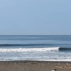 小波の割にはの画像
