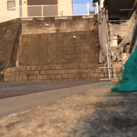 夕方の陸トレの画像