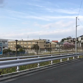気のせいかもの画像