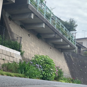 カットバックの練習の画像