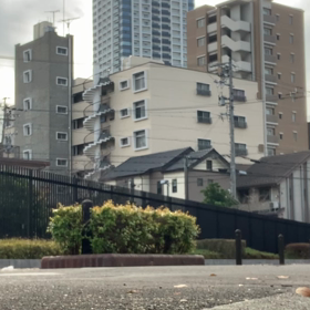 左手の捌きの画像