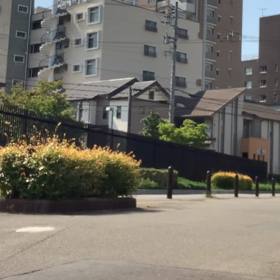脇からの景色の画像