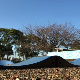 初のバンプの画像
