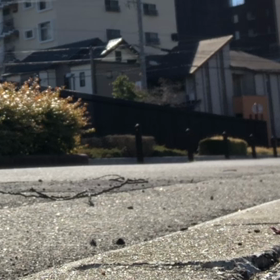膝の動きの画像