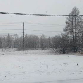 え⁉️の画像