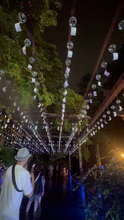 京都・夏の特別な一日。下鴨神社みたらし祭りと、夜の上賀茂神社へ。の記事動画
