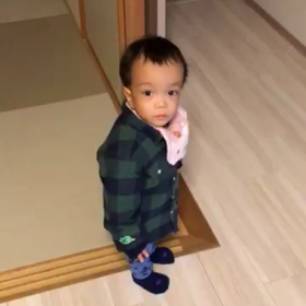 は〜〜い。の画像