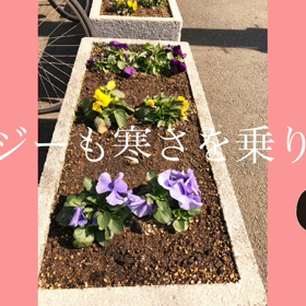 朝の気温が15度の画像