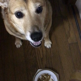 9月は嫌な思い出!の画像