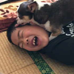 惚れられた。の画像
