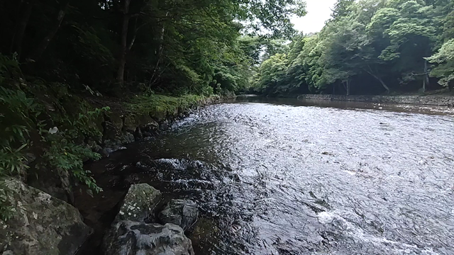 調停に入る前にカウンセリングしてもらいたかったの記事動画
