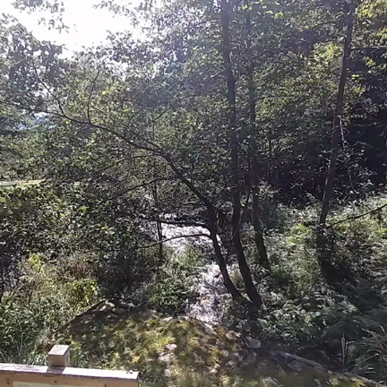 このセミナー、結婚応援だけの話じゃないんだよなあの記事動画