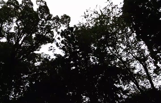 明日のゲストは、がん患者でなくがん家族のケアをなさってる、がん家族セラピストの酒井たえこさんですの記事動画