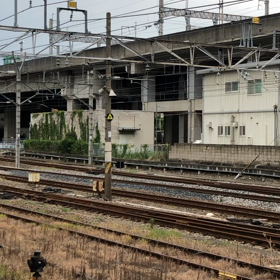 8月19日S Lよこかわの画像