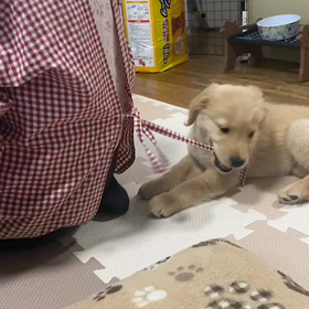 よく寝たよの画像