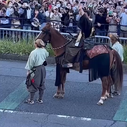 頂きものですがの記事動画