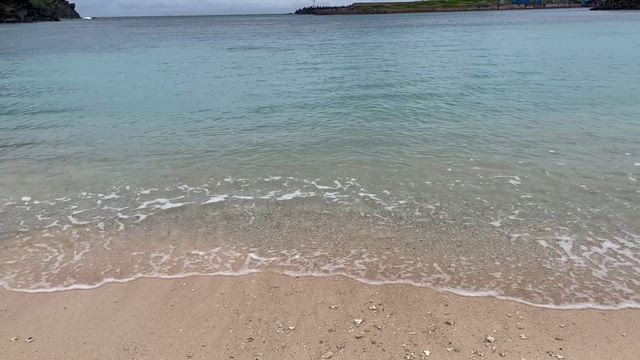 波打動画の記事動画