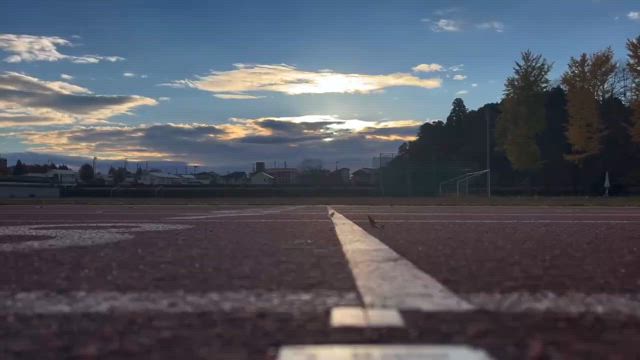 陸トレ締めくくり3000TTの記事動画