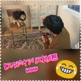 “ヨンタン”撮るのにスタジオアリス化wwwの画像