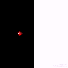 動画へのチャレンジの画像