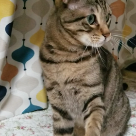 予期せぬお休みの画像