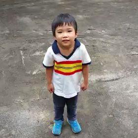 亀体操の画像