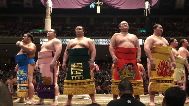 相撲観に来ていますの記事動画