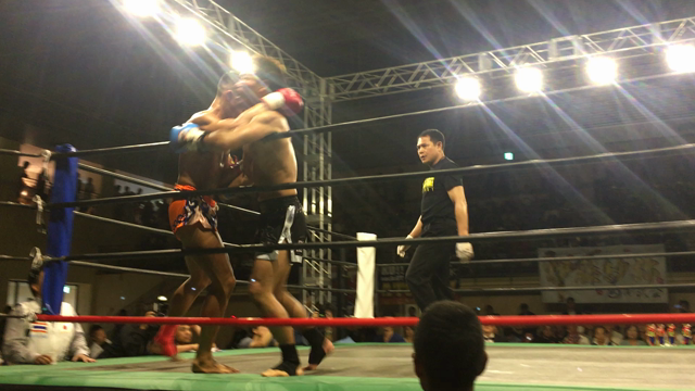 スポーツ観戦デイの記事動画