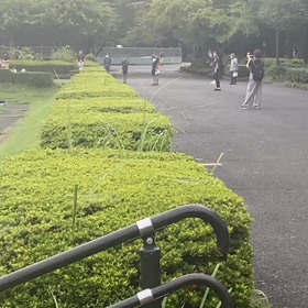 リレー選考会　中間地点⑨の画像