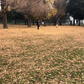 1000m １組目⑦の画像