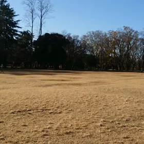 ジャベリック⑦の画像